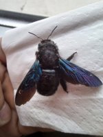 20230518_073033.jpg