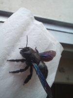20230518_073041.jpg