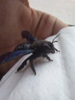 20230518_073045.jpg