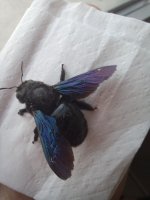 20230518_073029.jpg