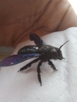 20230518_073048.jpg