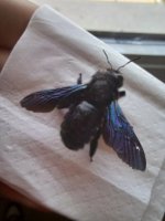 20230518_073049.jpg