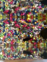 IMG_1182.jpeg