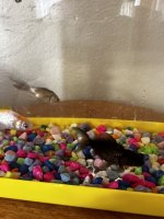 IMG_1180.jpeg
