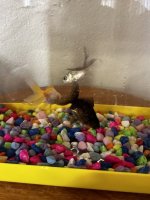 IMG_1179.jpeg