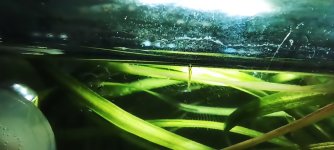 IMG_20240118_185222.jpg