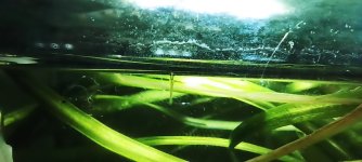 IMG_20240118_185225.jpg