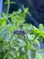 IMG_2393.jpeg
