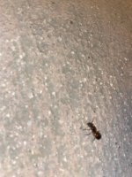 IMG_0214.jpeg