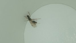 IMG_20240329_211343.jpg