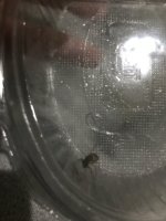 EBC40BAC-7225-4A99-9A4C-226B7EA2E529.jpeg