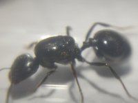 IMG_20240330_180056.jpg