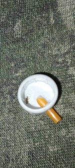 20240330_215547.jpg