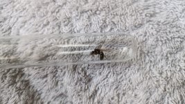 IMG-20240401-WA0007.jpg