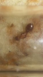 20240402_174027.jpg