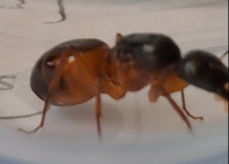 Ekran görüntüsü 2024-05-01 120705.png