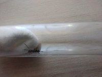 WhatsApp Image 2024-05-07 at 11.48.56.jpeg