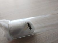 WhatsApp Image 2024-05-07 at 11.48.57.jpeg