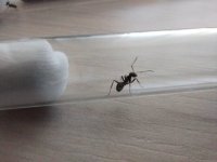 WhatsApp Image 2024-05-07 at 11.48.39.jpeg