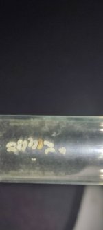IMG_20240513_173517.jpg