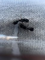 IMG_8610.jpeg