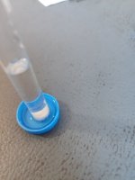 IMG_20240515_191855.jpg