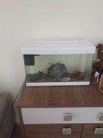 IMG-20240518-WA0067.jpg