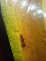 20240519_184038.jpg
