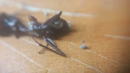 VideoCapture_20240521-213307.jpg