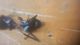 VideoCapture_20240521-213409.jpg