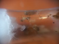 20240521_204722.jpg