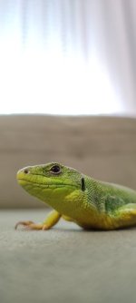 IMG_20240525_115342.jpg