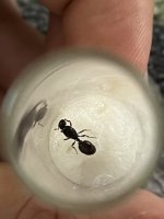 IMG_0210.jpeg