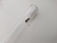 Formica3.jpg