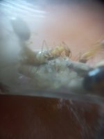 20240607_004750.jpg