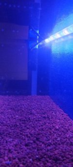 IMG_20240627_235937_631.jpg