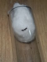 IMG_20240630_011932.jpg