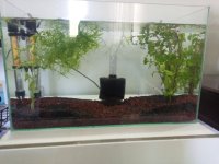 IMG-20240708-WA0039.jpeg