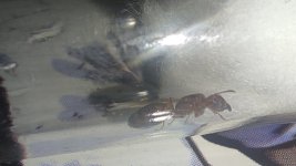 IMG_20240708_224358.jpg