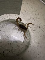 IMG_3559.jpeg