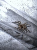 IMG_1195.jpeg