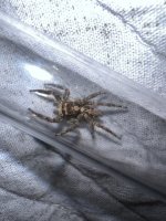 IMG_1193.jpeg
