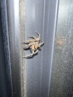 IMG_1190.jpeg