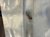 IMG_4868.jpeg