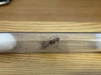 IMG_4865.jpeg