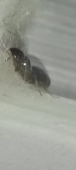 IMG_20240713_184009.jpg
