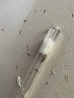 IMG_4149.jpeg