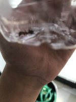 27BD5516-DD8B-4E9F-9FC5-DE3F9E4849AB.jpeg