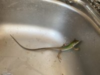 IMG_8036.jpeg