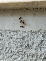 IMG_6702.jpeg